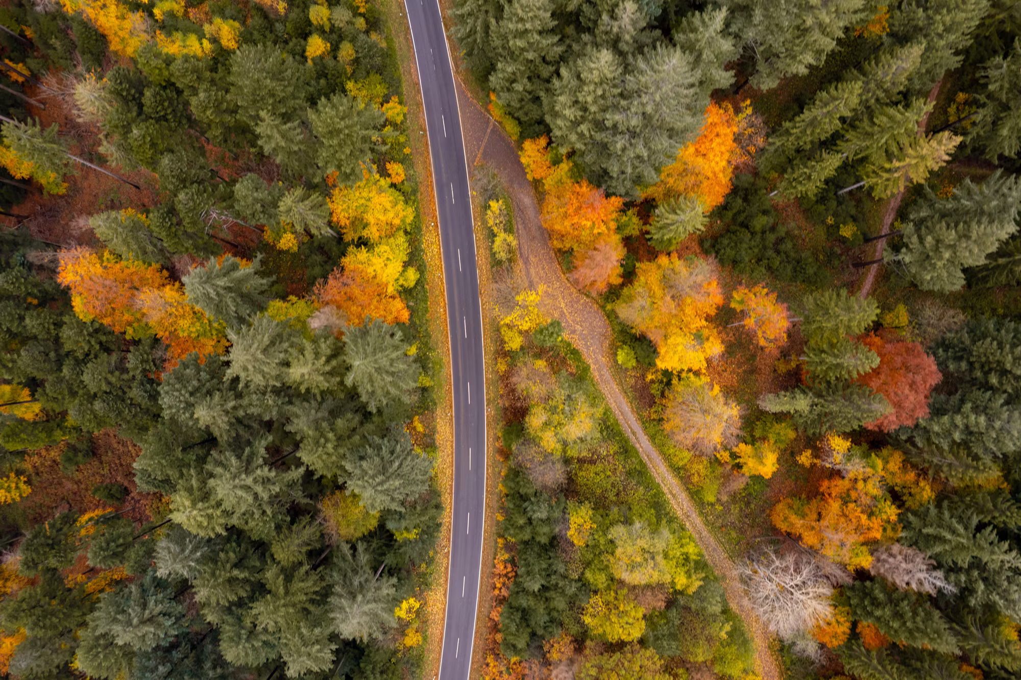 Navigating the Future: The Evolution of Automotive Technology